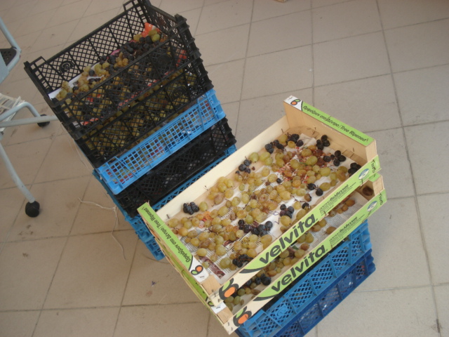 raisins