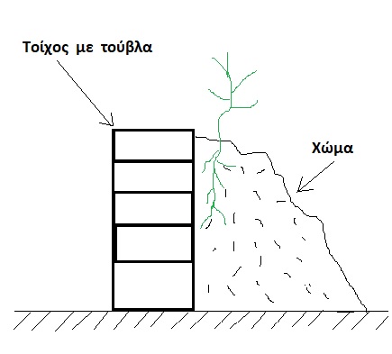 wall
skitso