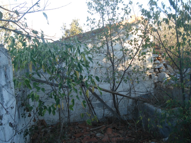 stavlos1
